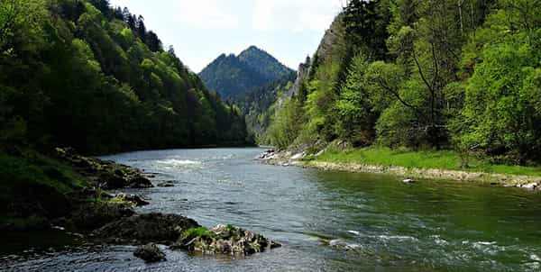 Rzeka Dunajec